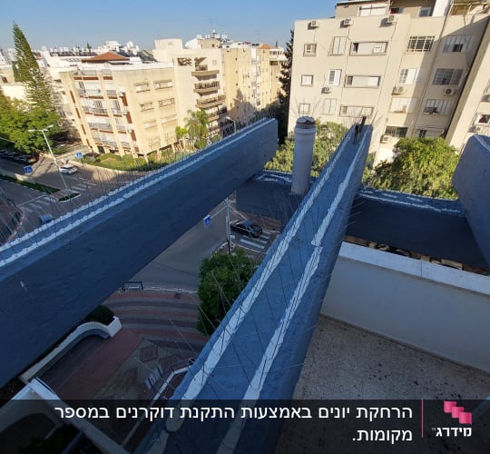 דוקרנים למניעת יונים על גג בניין